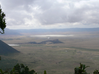 zebras and wilderbeests in the Ngorongoro Crater